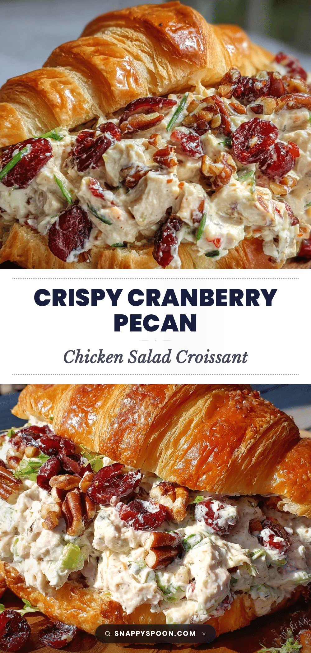 cranberry pecan chicken salad croissant sandwich recipe
