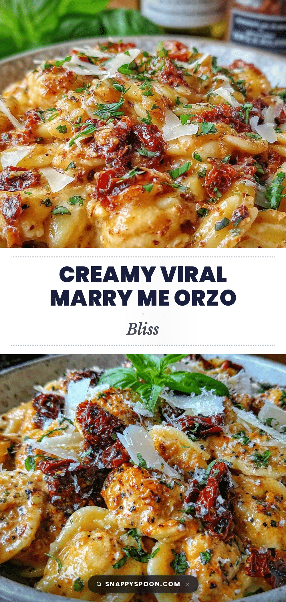 creamy viral marry me orzo recipe