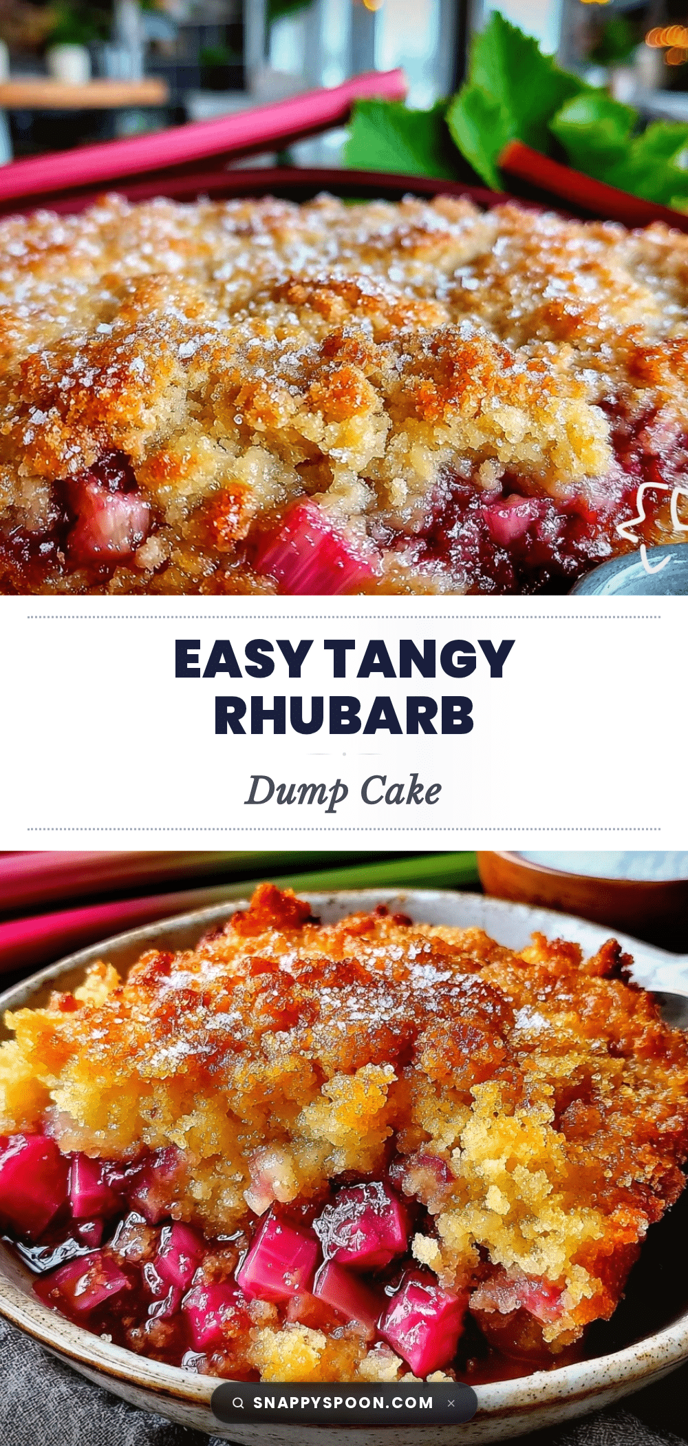 Easy Tangy Rhubarb Dump Cake recipe