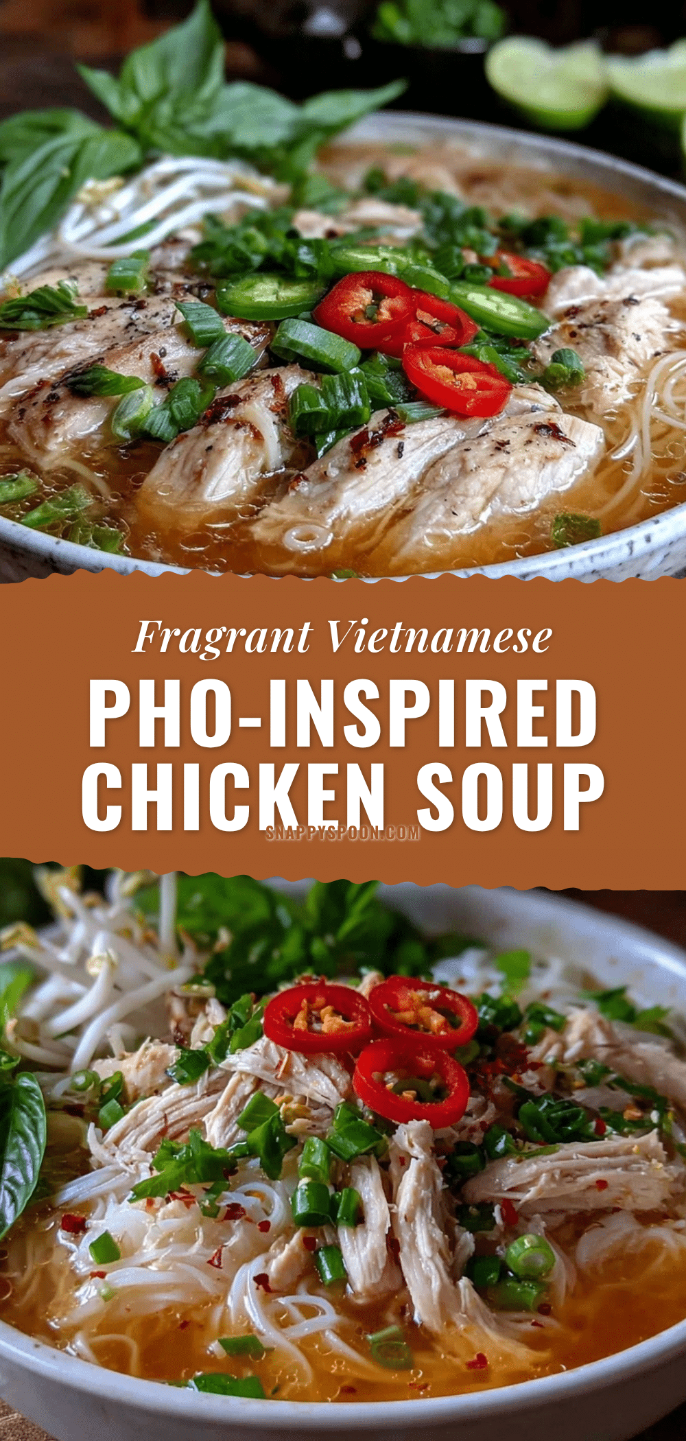 pho-inspired chicken noodle soup recipe