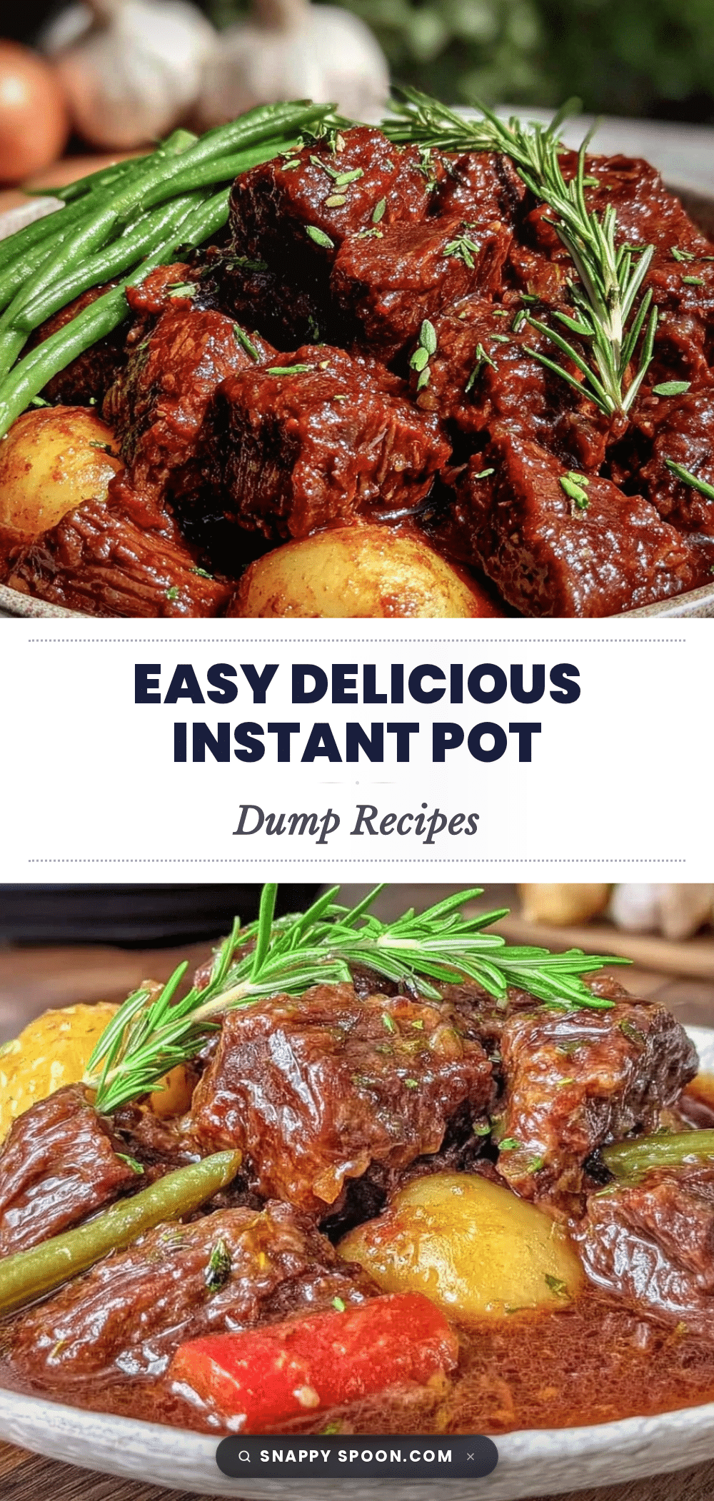 easy instant pot dump recipes recipe
