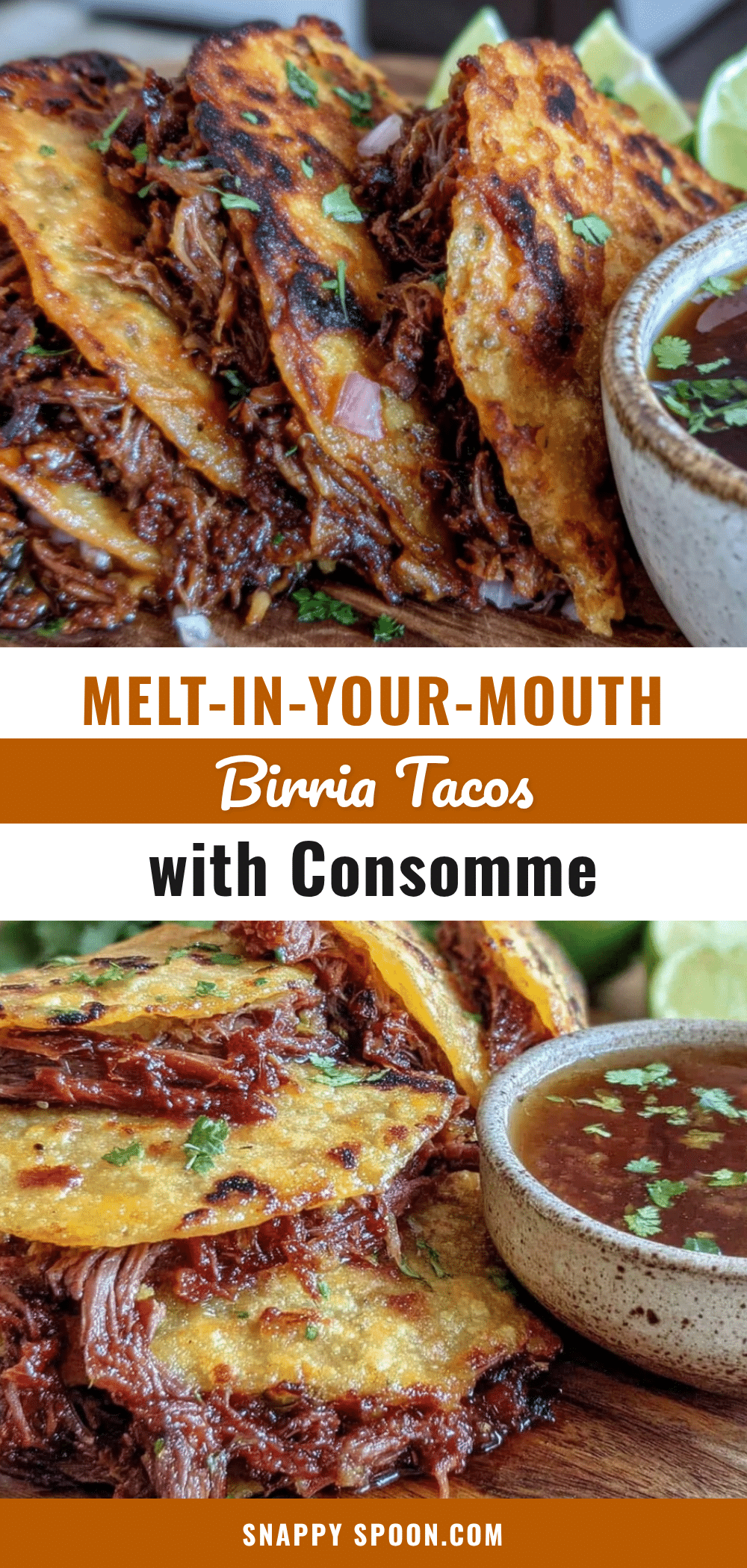 savory birria tacos recipe