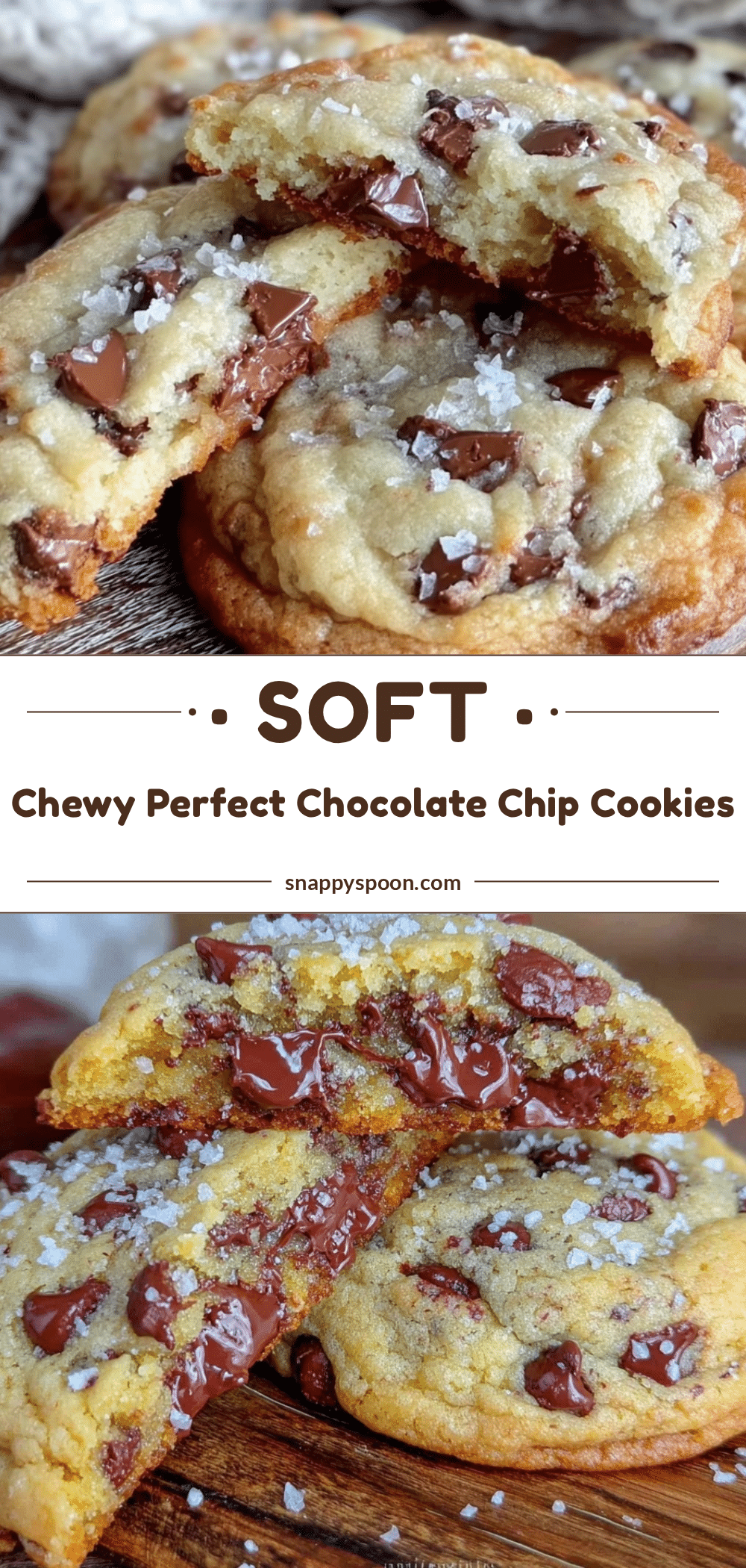 soft chewy chocolate chip cookies recipe