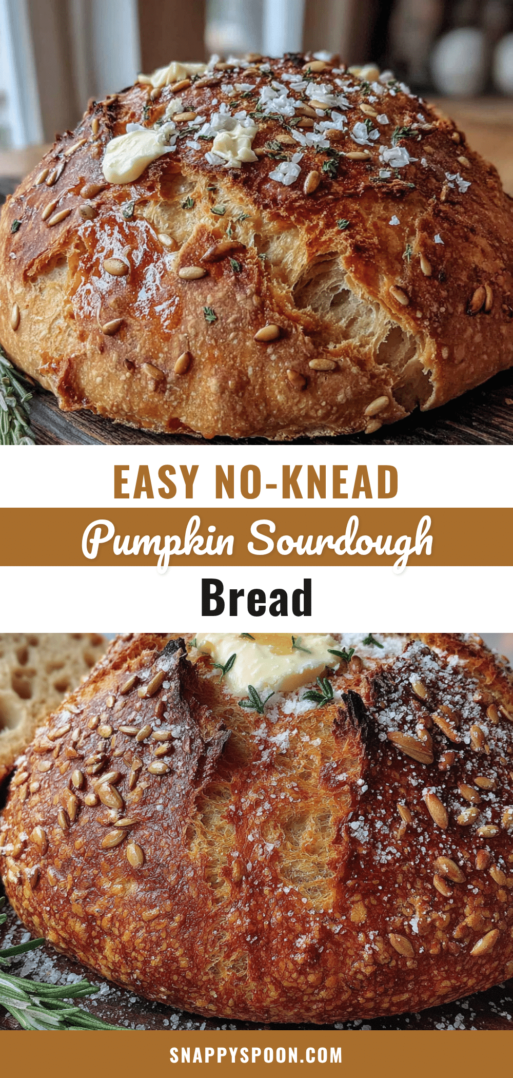 pumpkin sourdough bread recipe